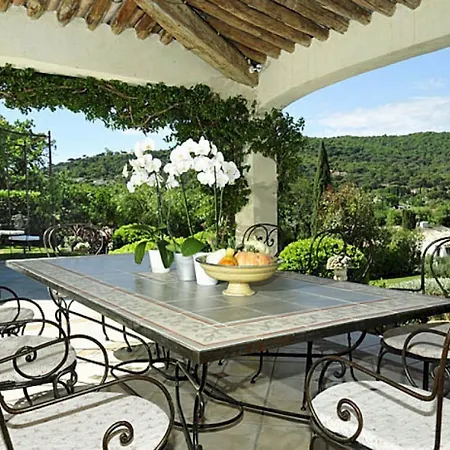 Awesome Fauve In Saint-tropez,france *